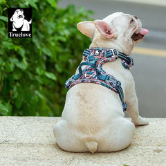 Dog Harness