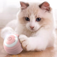 Interactive Cat Ball Toy