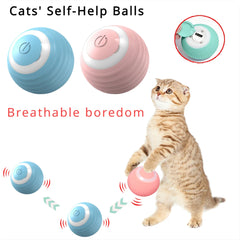 Interactive Cat Ball Toy